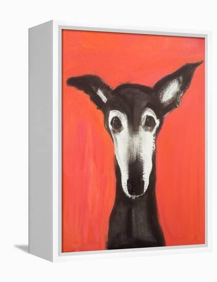 Galgo on Red-Sally Muir-Framed Premier Image Canvas