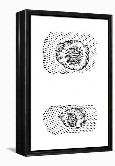 Galileo's Drawing of Lunar Craters, 1611-Galileo Galilei-Framed Premier Image Canvas