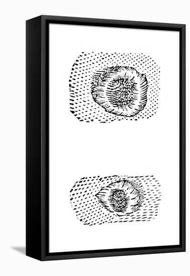 Galileo's Drawing of Lunar Craters, 1611-Galileo Galilei-Framed Premier Image Canvas