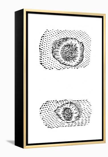 Galileo's Drawing of Lunar Craters, 1611-Galileo Galilei-Framed Premier Image Canvas