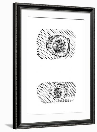 Galileo's Drawing of Lunar Craters, 1611-Galileo Galilei-Framed Giclee Print