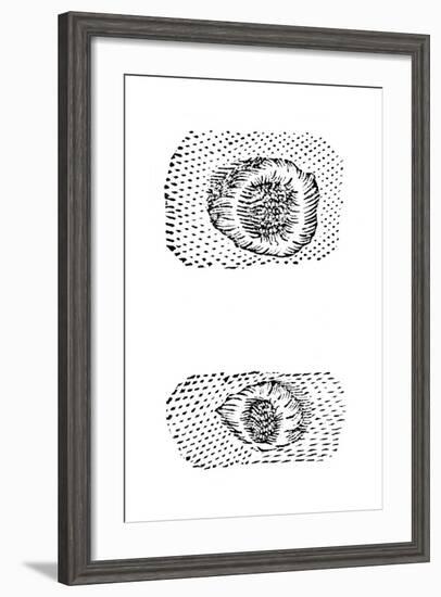 Galileo's Drawing of Lunar Craters, 1611-Galileo Galilei-Framed Giclee Print