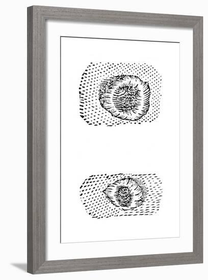 Galileo's Drawing of Lunar Craters, 1611-Galileo Galilei-Framed Giclee Print