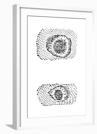 Galileo's Drawing of Lunar Craters, 1611-Galileo Galilei-Framed Giclee Print