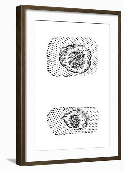 Galileo's Drawing of Lunar Craters, 1611-Galileo Galilei-Framed Giclee Print