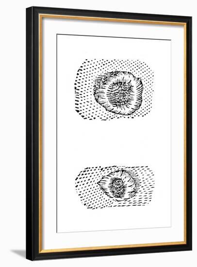 Galileo's Drawing of Lunar Craters, 1611-Galileo Galilei-Framed Giclee Print