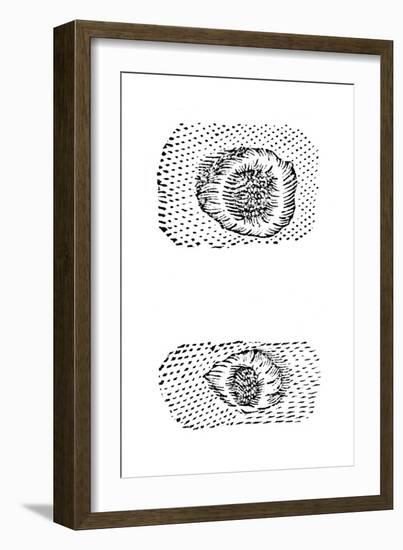 Galileo's Drawing of Lunar Craters, 1611-Galileo Galilei-Framed Giclee Print