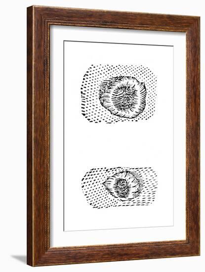 Galileo's Drawing of Lunar Craters, 1611-Galileo Galilei-Framed Giclee Print