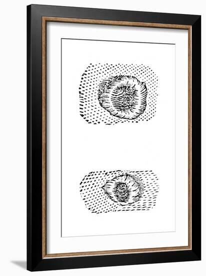 Galileo's Drawing of Lunar Craters, 1611-Galileo Galilei-Framed Giclee Print