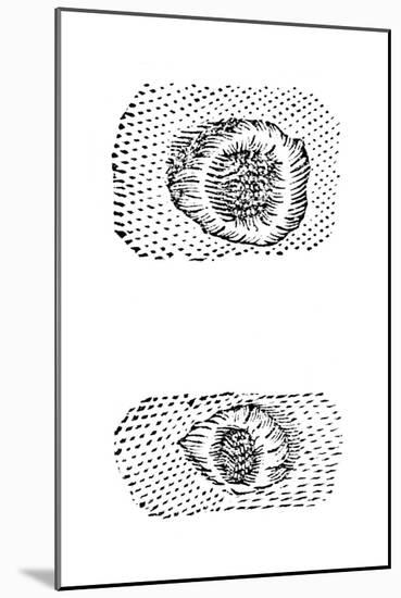 Galileo's Drawing of Lunar Craters, 1611-Galileo Galilei-Mounted Giclee Print