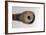 Galileo's Telescope, 1610-null-Framed Photographic Print