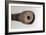 Galileo's Telescope, 1610-null-Framed Photographic Print