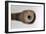 Galileo's Telescope, 1610-null-Framed Photographic Print