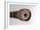 Galileo's Telescope, 1610-null-Framed Photographic Print