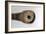 Galileo's Telescope, 1610-null-Framed Photographic Print