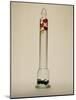 Galileo's Thermometer, 1592-Galileo Galilei-Mounted Photographic Print