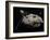 Galileo Spacecraft Discovering Asteroid 243 Ida and its Moon, Dactyl-null-Framed Art Print