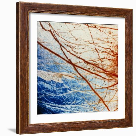 Galileo Spacecraft Image of Europa's Surface-null-Framed Premium Photographic Print