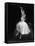 Galina Ulanova Performing During Ballet at the Bolshoi Theater-Howard Sochurek-Framed Premier Image Canvas