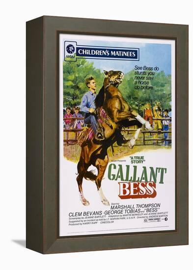 Gallant Bess, Marshall Thompson, 'Silvernip,' the Horse, 1946-null-Framed Stretched Canvas