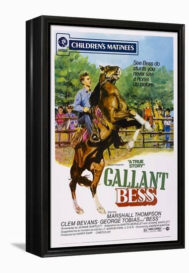 Gallant Bess, Marshall Thompson, 'Silvernip,' the Horse, 1946-null-Framed Stretched Canvas