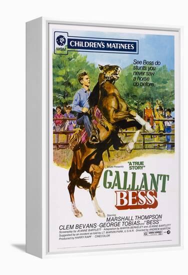 Gallant Bess, Marshall Thompson, 'Silvernip,' the Horse, 1946-null-Framed Stretched Canvas