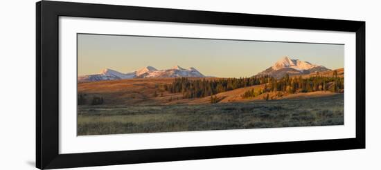 Gallatin Range and Swan Lake Flats, Yellowstone National Park, Wyoming, United States of America-Gary Cook-Framed Photographic Print