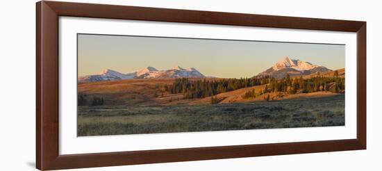 Gallatin Range and Swan Lake Flats, Yellowstone National Park, Wyoming, United States of America-Gary Cook-Framed Photographic Print