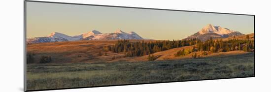 Gallatin Range and Swan Lake Flats, Yellowstone National Park, Wyoming, United States of America-Gary Cook-Mounted Photographic Print