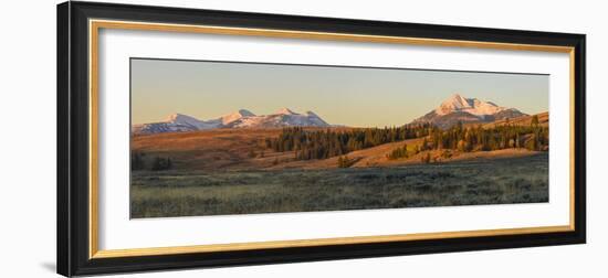 Gallatin Range and Swan Lake Flats, Yellowstone National Park, Wyoming, United States of America-Gary Cook-Framed Photographic Print