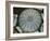 Galleria Umberto 1, Naples, Campania, Italy-Walter Bibikow-Framed Photographic Print