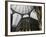 Galleria Umberto, Shopping Arcade, Naples, Campania, Italy-Ken Gillham-Framed Photographic Print