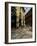 Galleria Vittorio Emanuele Ii, Milan, Lombardy, Italy, Europe-Charles Bowman-Framed Photographic Print