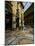 Galleria Vittorio Emanuele Ii, Milan, Lombardy, Italy, Europe-Charles Bowman-Mounted Photographic Print