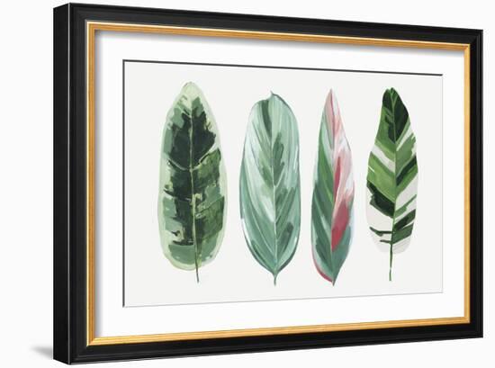 Gallery of Leaves-Asia Jensen-Framed Art Print