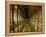 Gallery of the Old Library, Trinity College, Dublin, County Dublin, Eire (Ireland)-Bruno Barbier-Framed Premier Image Canvas