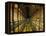 Gallery of the Old Library, Trinity College, Dublin, County Dublin, Eire (Ireland)-Bruno Barbier-Framed Premier Image Canvas