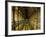 Gallery of the Old Library, Trinity College, Dublin, County Dublin, Eire (Ireland)-Bruno Barbier-Framed Premium Photographic Print