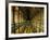 Gallery of the Old Library, Trinity College, Dublin, County Dublin, Eire (Ireland)-Bruno Barbier-Framed Premium Photographic Print