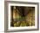 Gallery of the Old Library, Trinity College, Dublin, County Dublin, Eire (Ireland)-Bruno Barbier-Framed Photographic Print