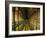 Gallery of the Old Library, Trinity College, Dublin, County Dublin, Eire (Ireland)-Bruno Barbier-Framed Photographic Print