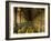 Gallery of the Old Library, Trinity College, Dublin, County Dublin, Eire (Ireland)-Bruno Barbier-Framed Photographic Print