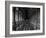 Gallery of the Old Library, Trinity College, Dublin, County Dublin, Eire (Ireland)-Bruno Barbier-Framed Photographic Print