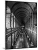 Gallery of the Old Library, Trinity College, Dublin, County Dublin, Eire (Ireland)-Bruno Barbier-Mounted Photographic Print