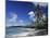Galley Bay Beach, Antigua, Caribbean, West Indies, Central America-Ken Gillham-Mounted Photographic Print