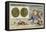 Gallic Coins of Vercingetorix, 52 BC-null-Framed Premier Image Canvas