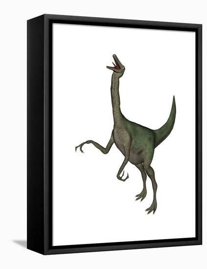 Gallimimus Dinosaur Roaring-Stocktrek Images-Framed Stretched Canvas