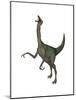 Gallimimus Dinosaur Roaring-Stocktrek Images-Mounted Art Print