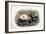 Gallinula Chloropus-John Gould-Framed Giclee Print