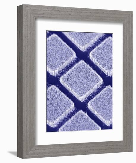 Gallium Nitride Nanowires, SEM-Peidong Yang-Framed Premium Photographic Print